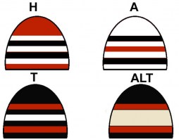 chicago-black-hawks_toques2