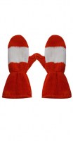 detroit_mitten4