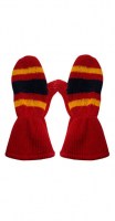 florida_mitten2