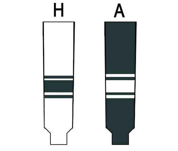 michigan-state-spartans2