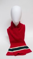 minnesota-scarf