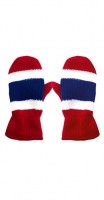 montreal-_mitten7
