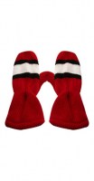 ottawa_mitten5