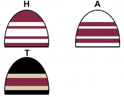 phoenix-coyotes_hat