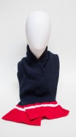 washington-scarf