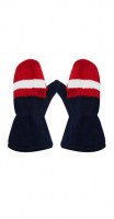 washington_mitten5